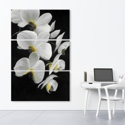 Canvas 40 x 60 - Beautiful orchids