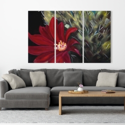 Toile 40 x 60 - Fleur rouge de cactus echinopsis