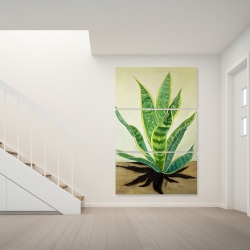 Toile 40 x 60 - Plante succulente langue de belle-mère