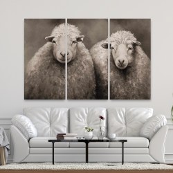 Canvas 40 x 60 - Sheep sepia