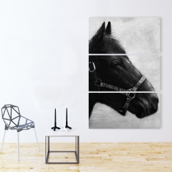 Canvas 40 x 60 - Gallopin the horse