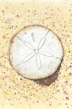 Sand-dollar