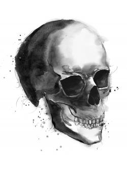 Crâne noir et blanc