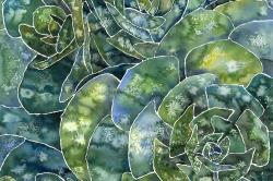 Abstract succulents