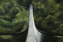 Suspended bridge in the forest