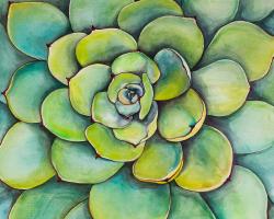 Watercolor succulent plant