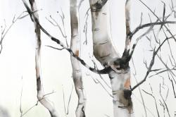 Three birches trees