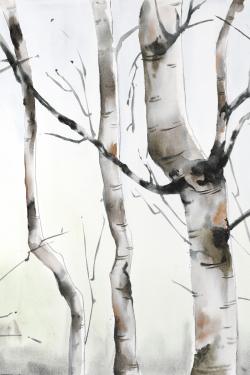 Three birches trees