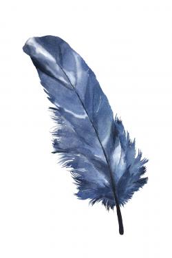 Plume bleue