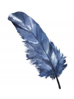 Plume bleue