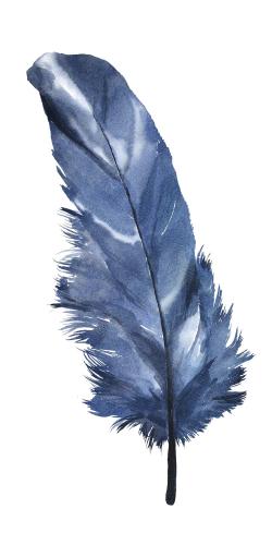 Plume bleue