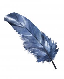 Plume bleue