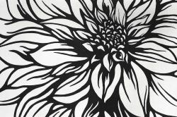 Dahlia flower outline style