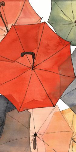 The umbrellas of petit champlain