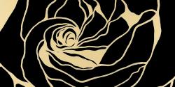 Silhouette of a rose