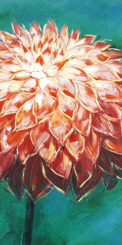 Abstract dahlia flower