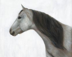 Cheval hivernal