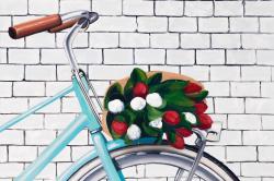 Bicyclette avec bouquet de tulipes