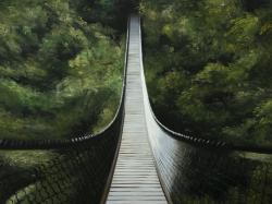 Suspended bridge in the forest