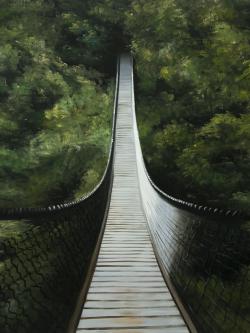 Suspended bridge in the forest