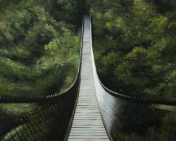 Suspended bridge in the forest