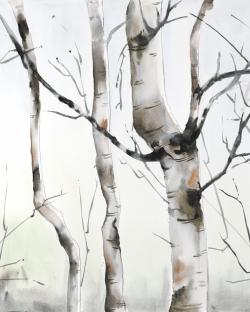 Three birches trees