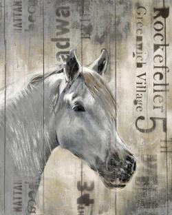 Rustic white horse