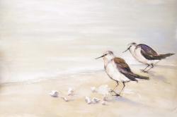 Two sandpipers on the beach