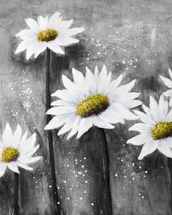 Marguerites