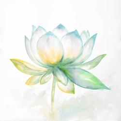 Fleur de lotus