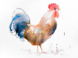 Rooster watercolor style