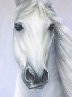 Powerful white horse