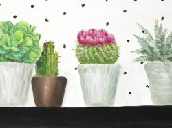 Mini cactus et succulents