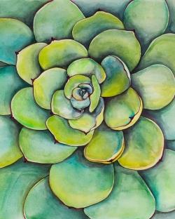 Watercolor succulent plant