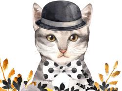 Chic cat