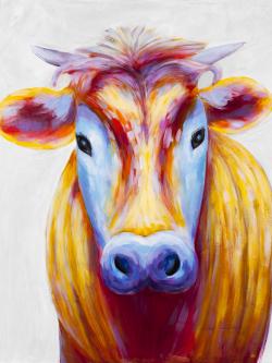 Colorful country cow