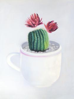 Mini cactus dans une tasse