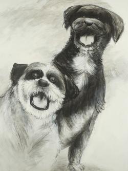 Happy dogs sketch