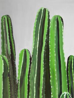 Cactus cierges