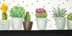 Mini cactus et succulents