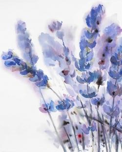 Watercolor lavender flowers