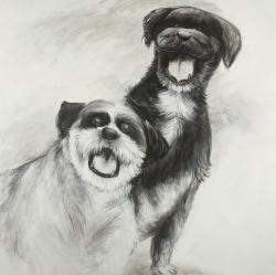 Happy dogs sketch