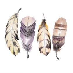 Purple feather set