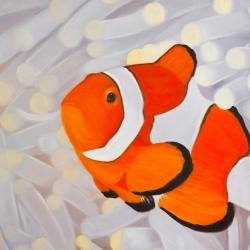 Clownfish