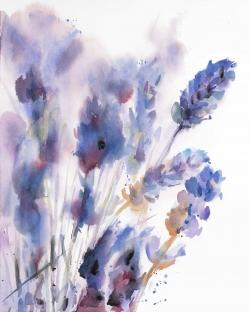 Watercolor lavender flowers with blur effect