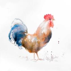 Rooster watercolor style