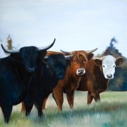 Quatre vaches des highlands