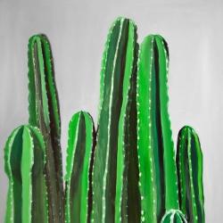 Cactus cierges