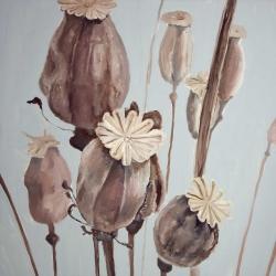 Sepia poppy head flowers