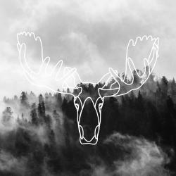 Minimalist moose head